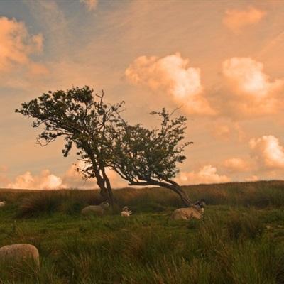 亚博app(中国)官方网站app下载